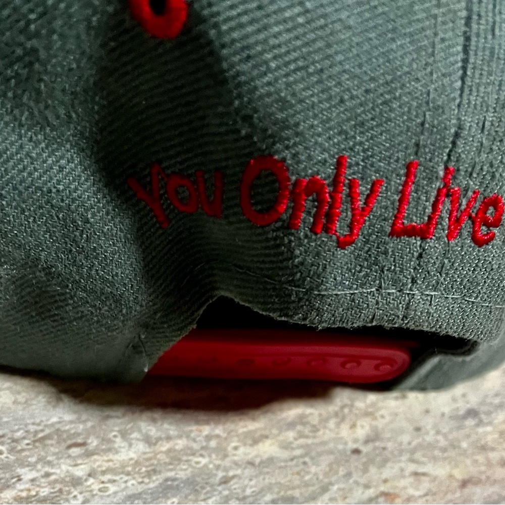 YOLO hat - Picture 16 of 16